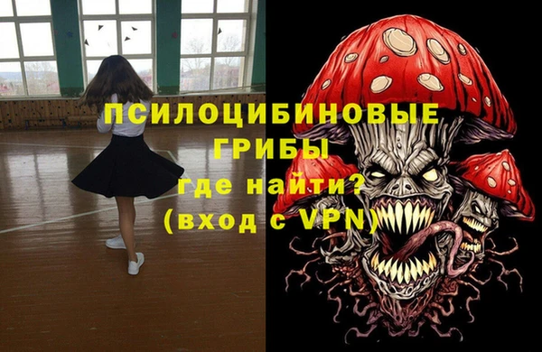 хмурый Бородино