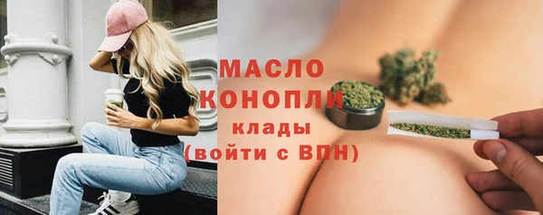 хмурый Бородино