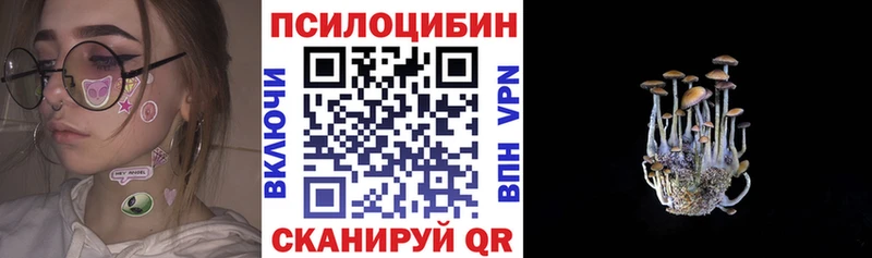 Галлюциногенные грибы Magic Shrooms  Купить  Спас-Клепики 